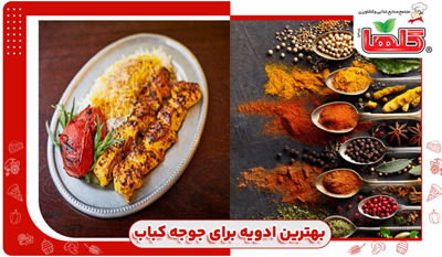 بهترین ادویه برای جوجه کباب